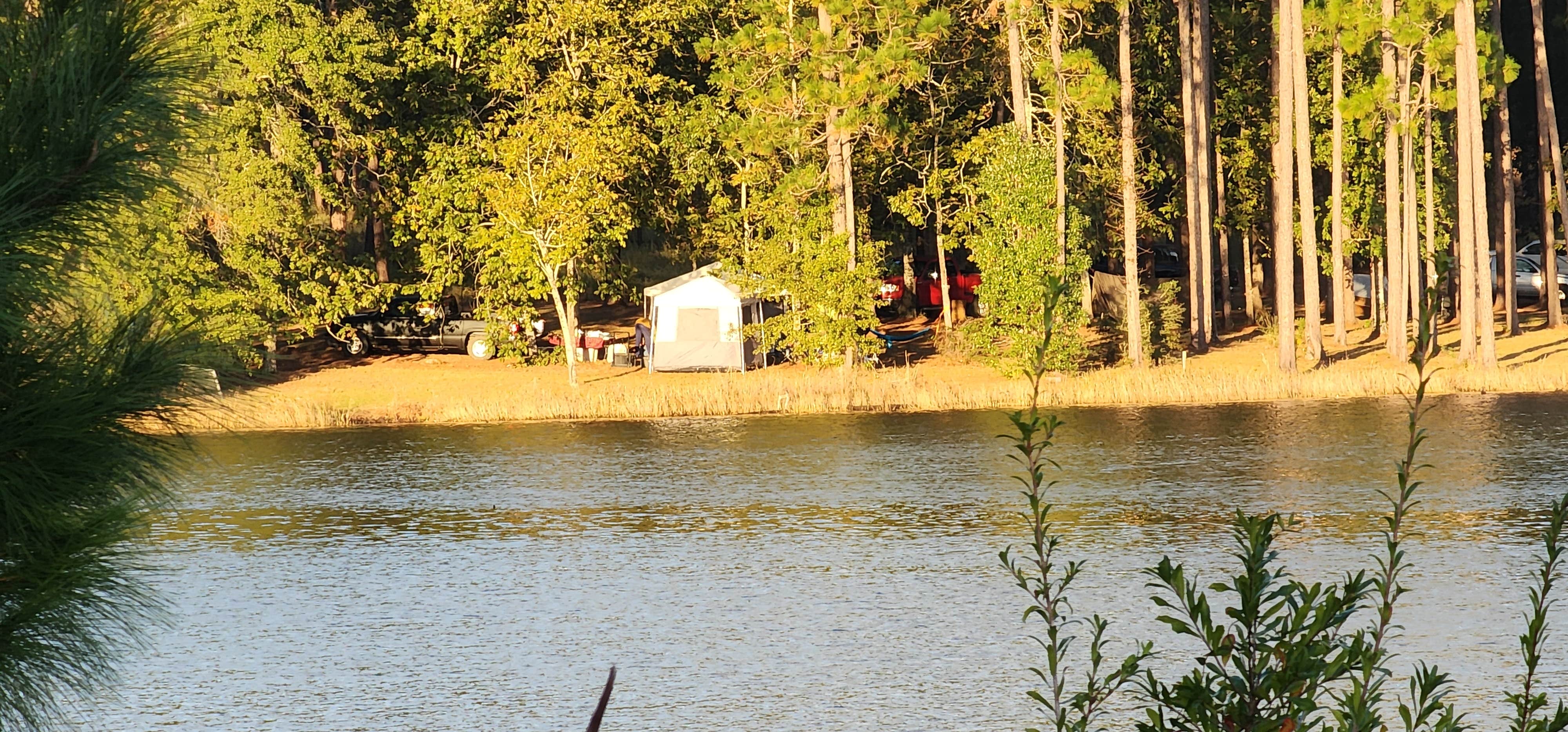 Vand H.'s photo of a dispersed camping area at Geneva State Lake near Bonifay, FL