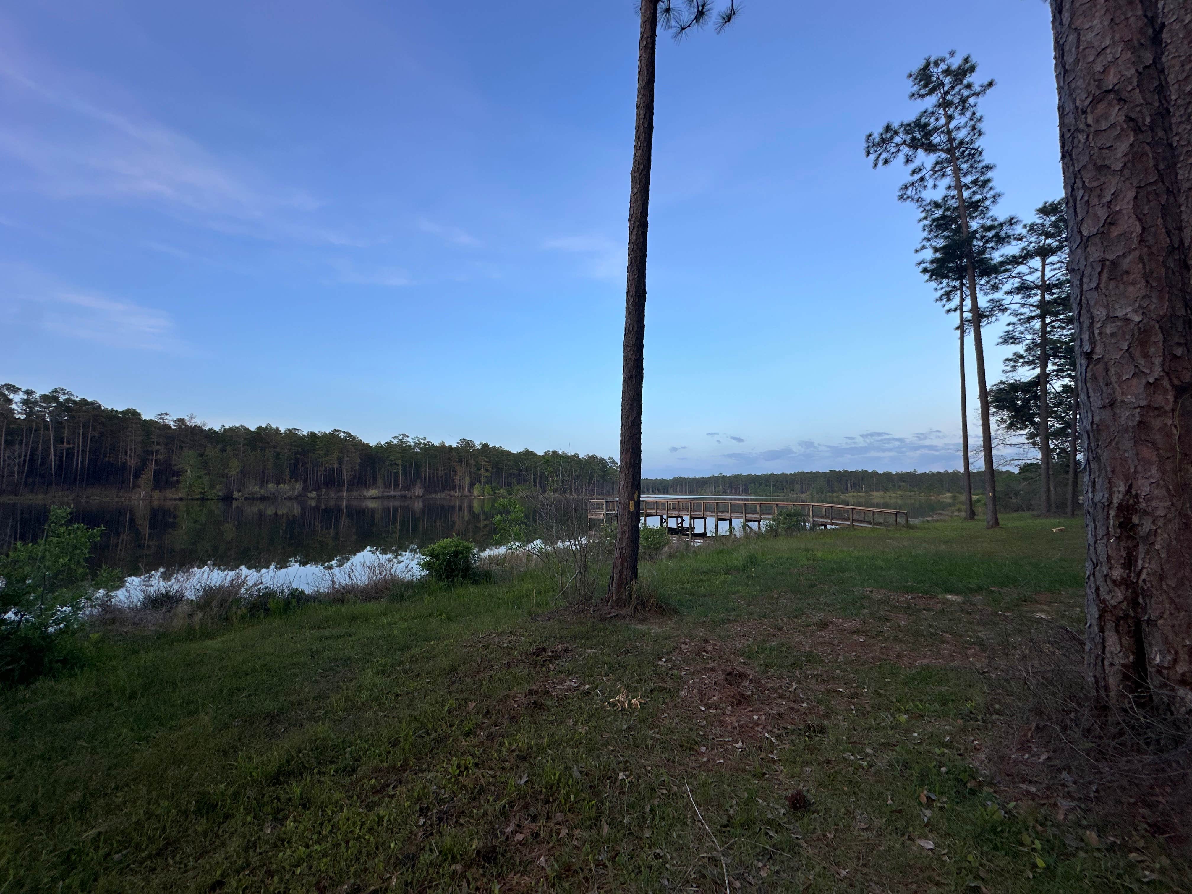 Camper-submitted photo at Geneva State Lake near Bonifay, FL