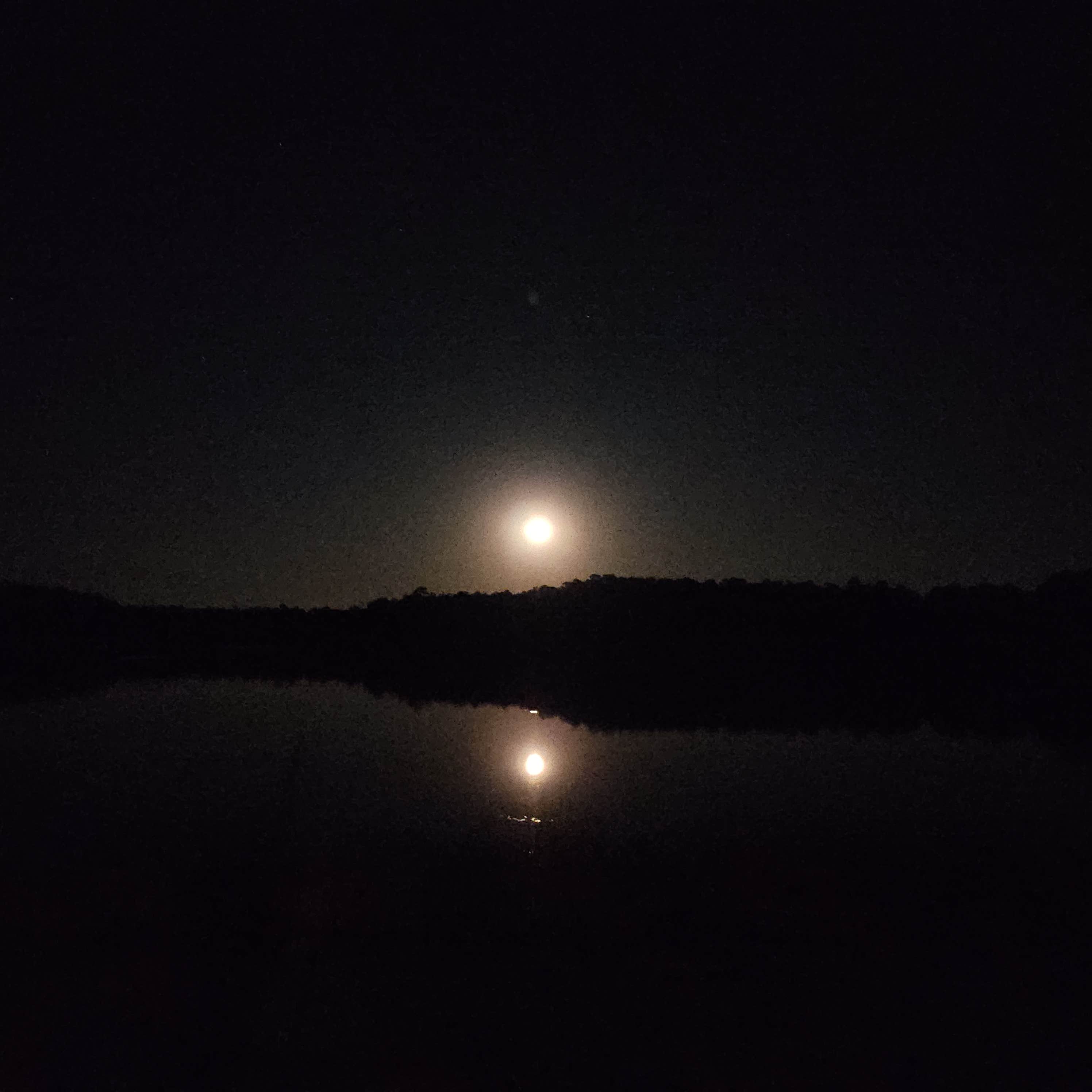 Camper-submitted photo at Geneva State Lake near Geneva, AL