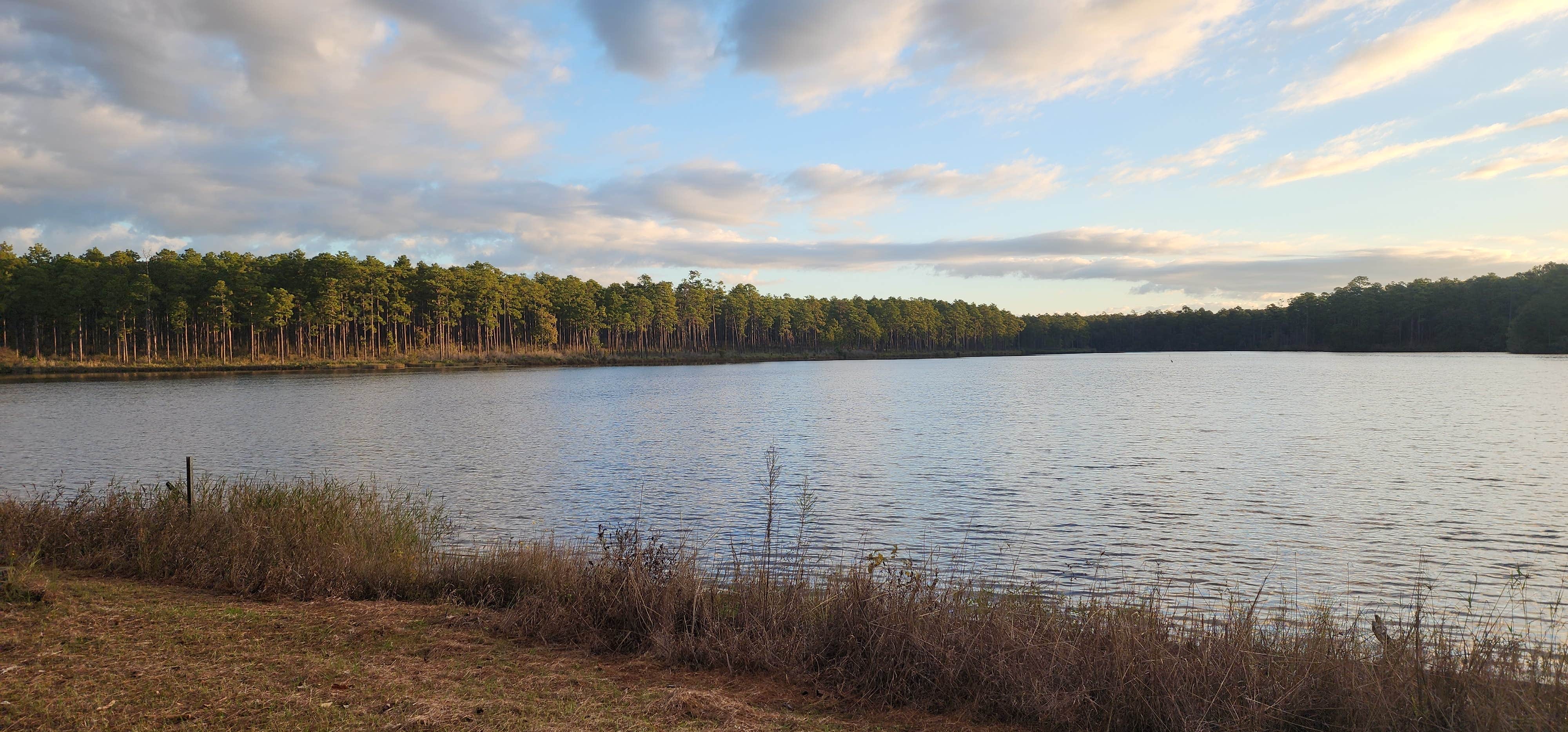 Vand H.'s photo of a dispersed camping area at Geneva State Lake near Holt, FL