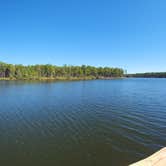 Review photo of Geneva State Lake by Vand H., November 11, 2024