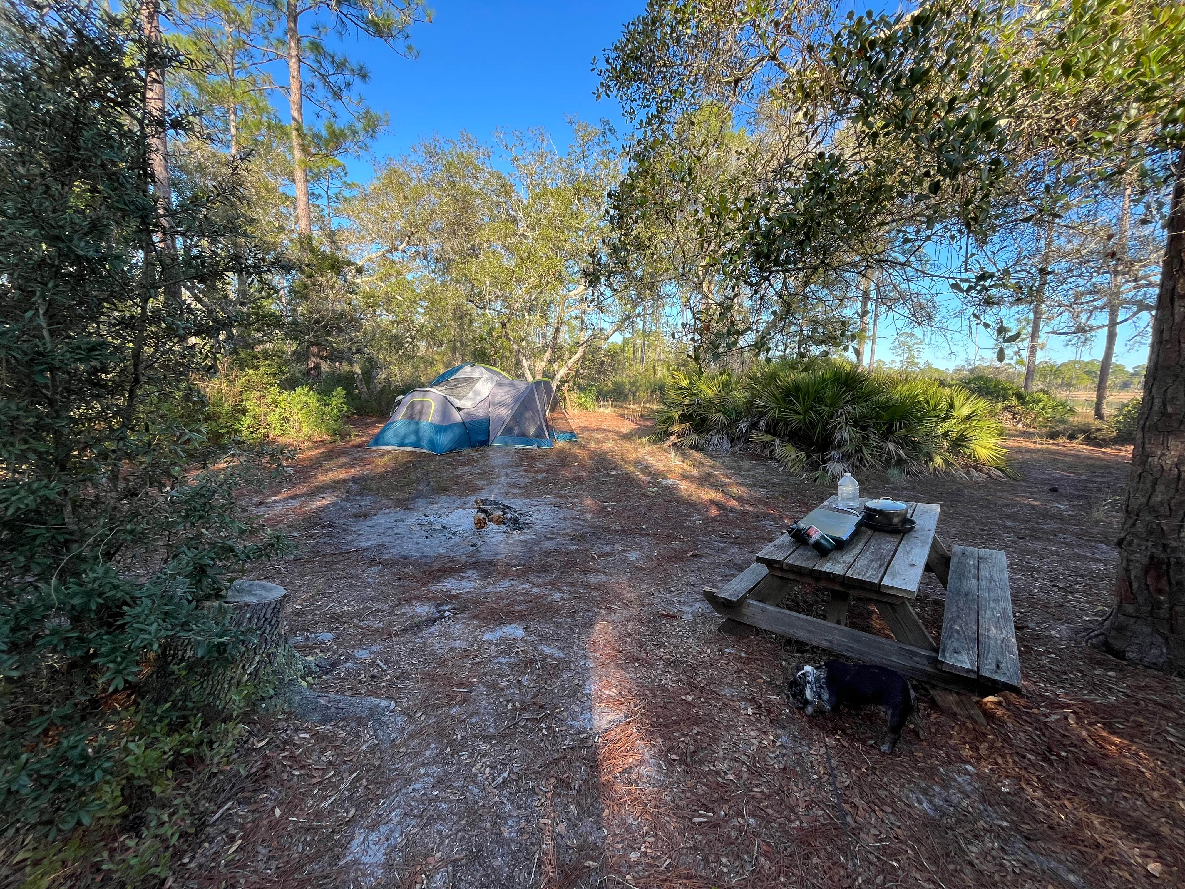 Nathaniel D.'s photo of camping with pets at Geneva Wilderness Area near New Smyrna Beach, FL