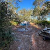 Review photo of Geneva Wilderness Area by Nathaniel D., January 3, 2026