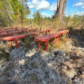 Review photo of Geneva Wilderness Area by Nathaniel D., January 3, 2026