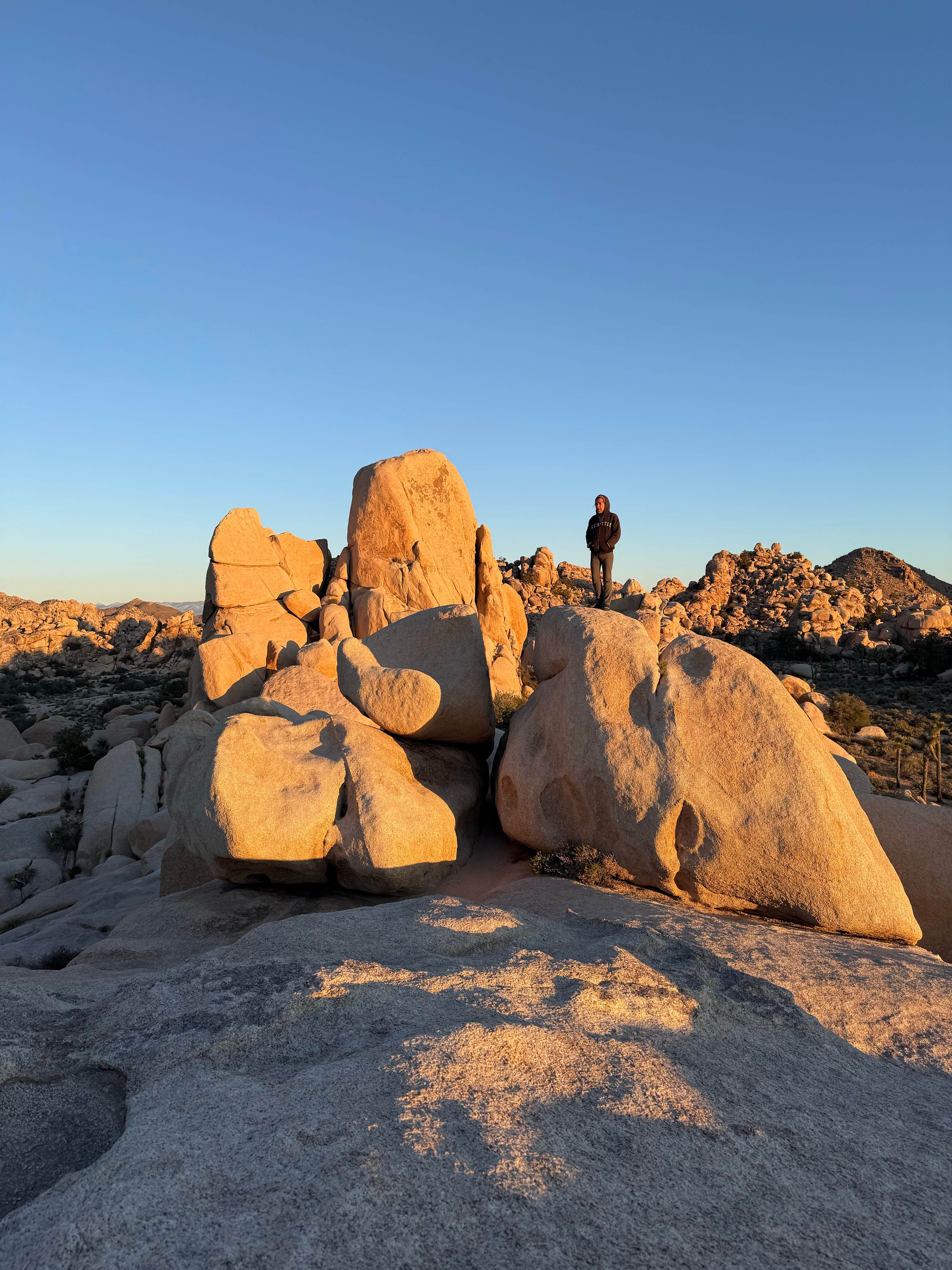 Camping near Sheephole Valley Wilderness: Geology Tour Road Dispersed Camping — Joshua Tree National Park, Twentynine Palms, California