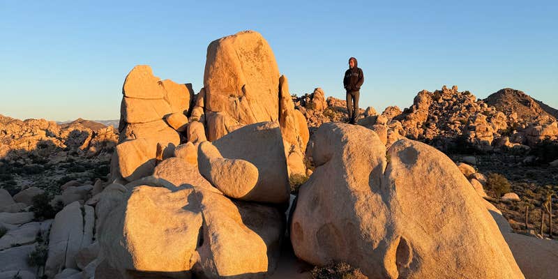 Camper submitted image from Geology Tour Road Dispersed Camping — Joshua Tree National Park