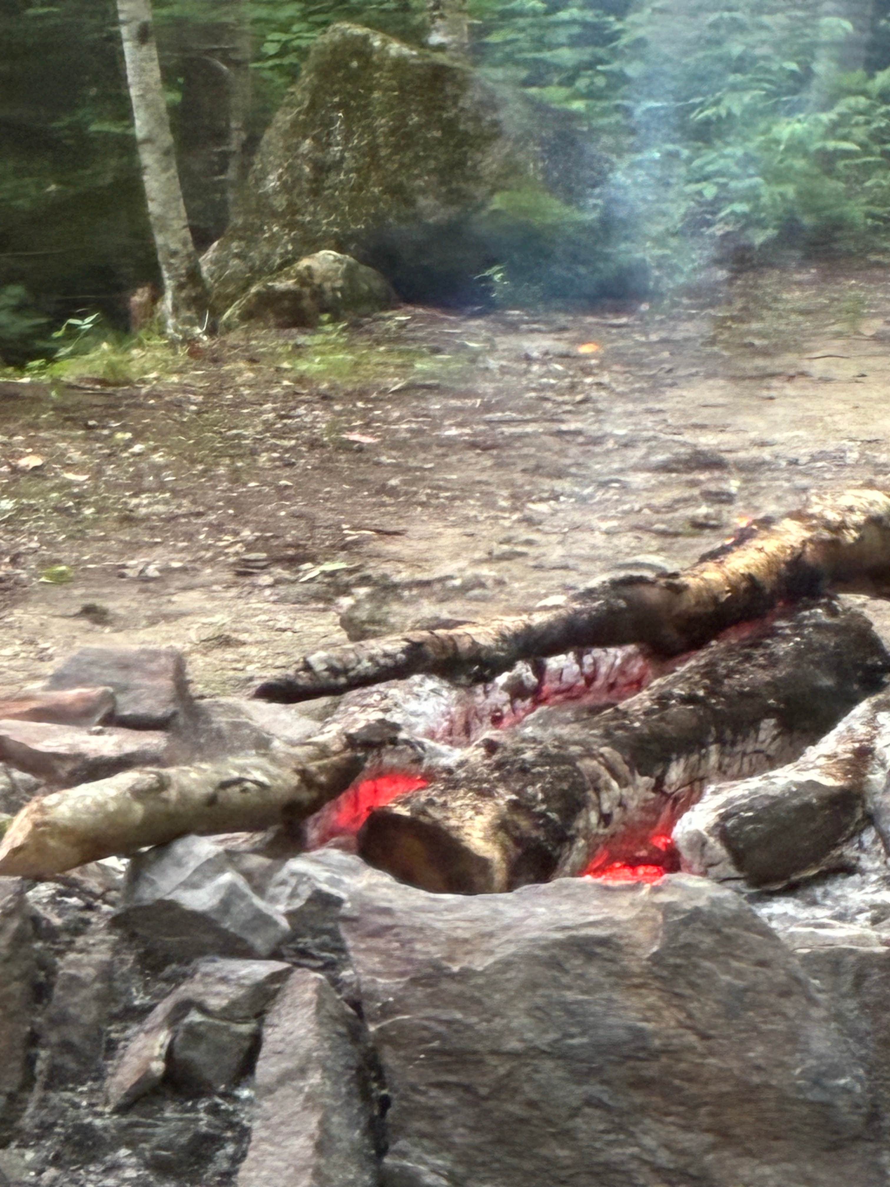 Camper-submitted photo at George D Aiken Wilderness Dispersed near Erving, MA