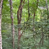 Review photo of George D Aiken Wilderness Dispersed by Kyla M., July 14, 2026