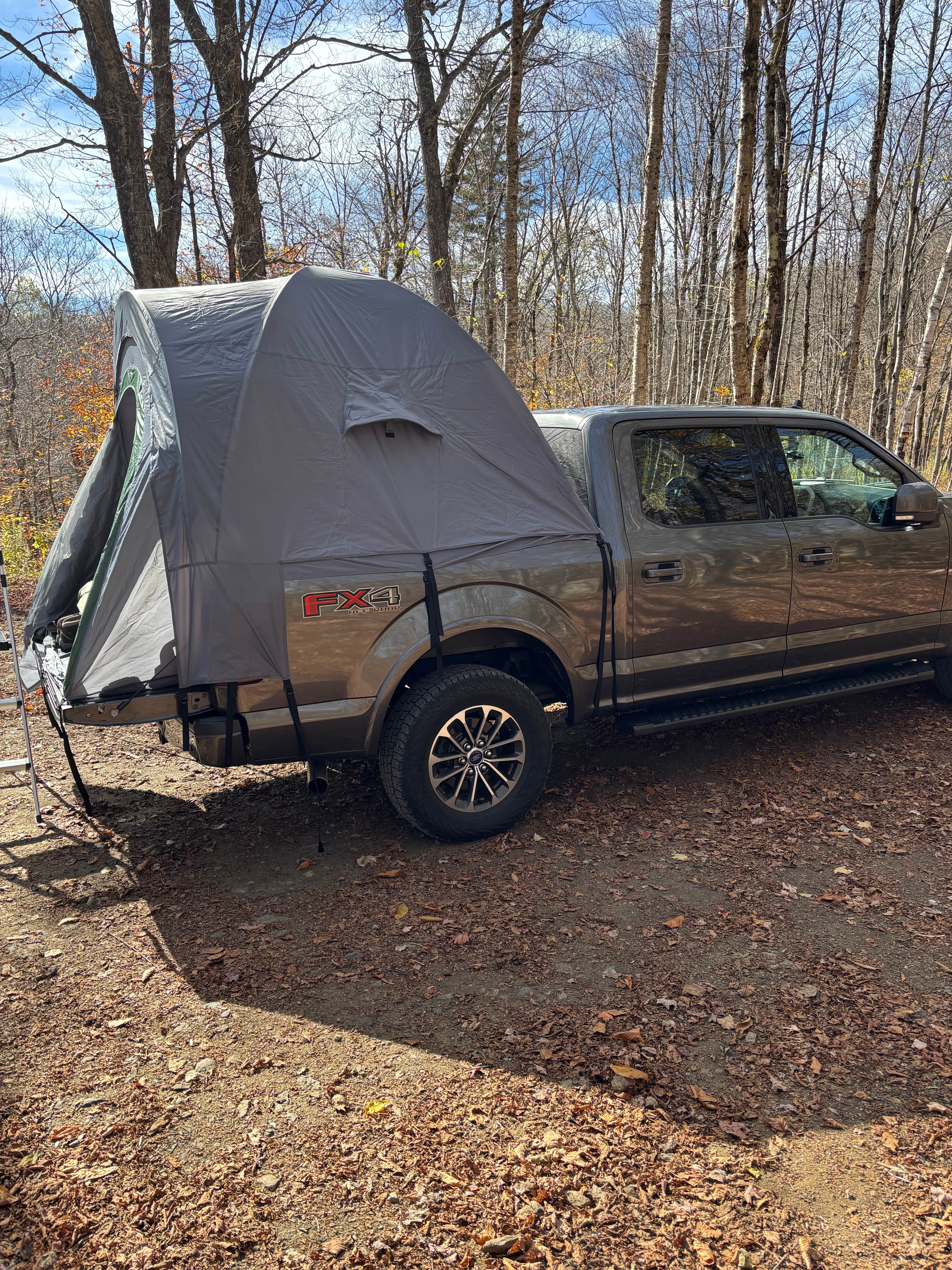 Camper-submitted photo at George D Aiken Wilderness Dispersed near Whately, MA