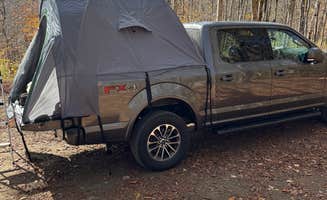 Ricky H.'s photo of a dispersed camping area at George D Aiken Wilderness Dispersed near New Ashford, MA