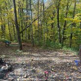 Review photo of George D Aiken Wilderness Dispersed by Senona C., October 2, 2026