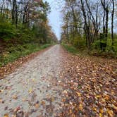 Review photo of George D Aiken Wilderness Dispersed by mary , October 8, 2023