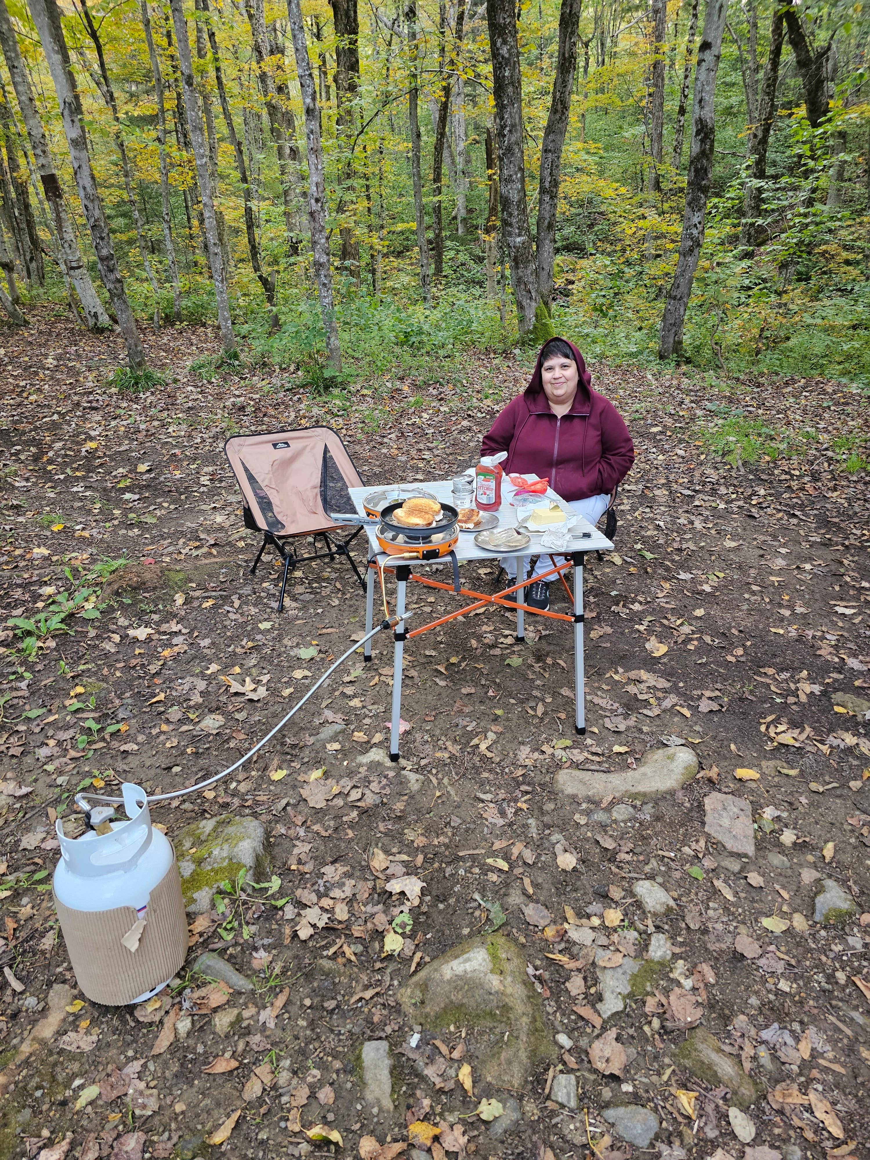 Camper submitted image from George D Aiken Wilderness Dispersed - 3