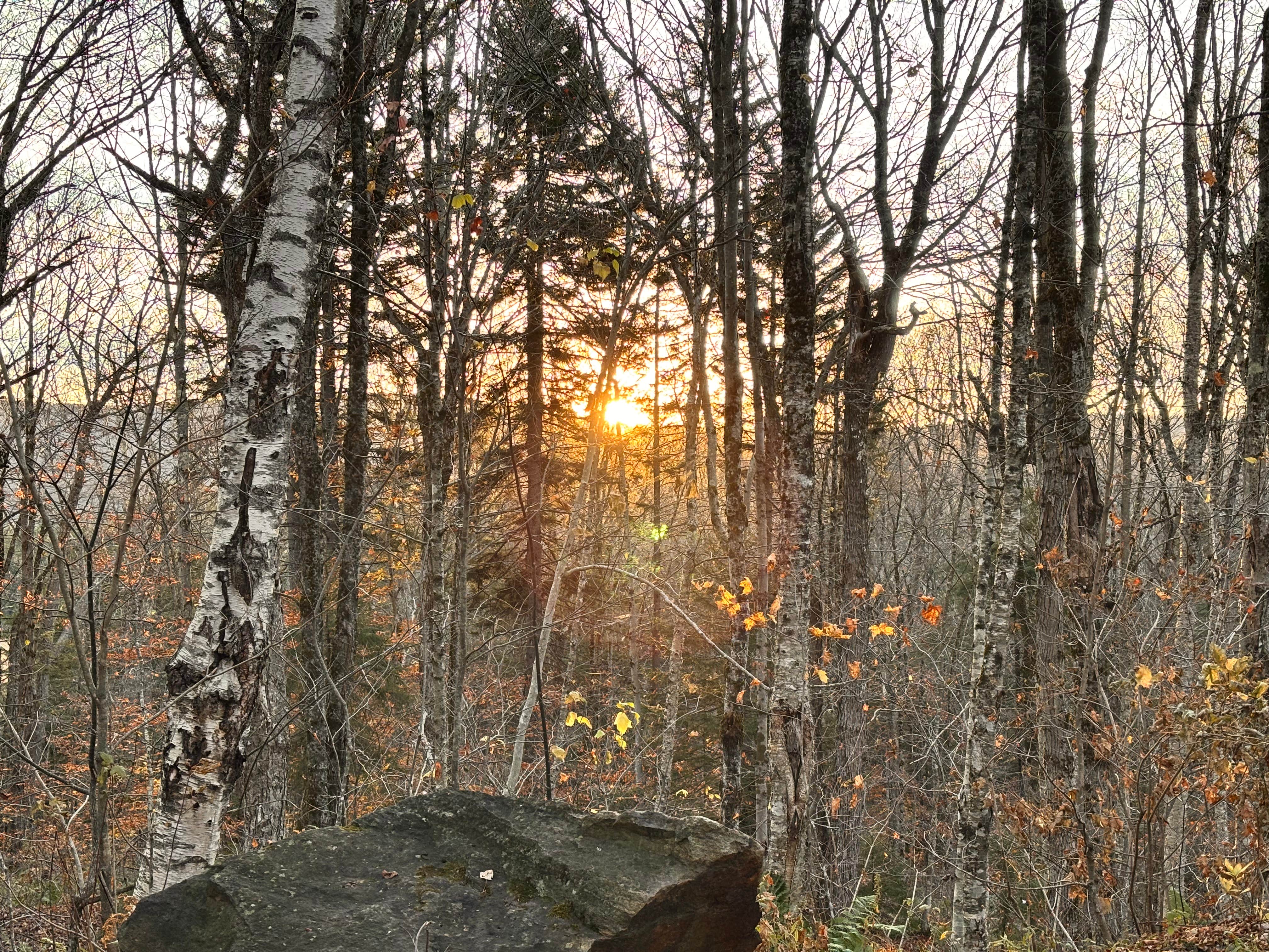 Camper-submitted photo at George D Aiken Wilderness Dispersed near Whately, MA