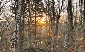 Ricky H.'s photo of a dispersed camping area at George D Aiken Wilderness Dispersed near Saratoga Springs, NY