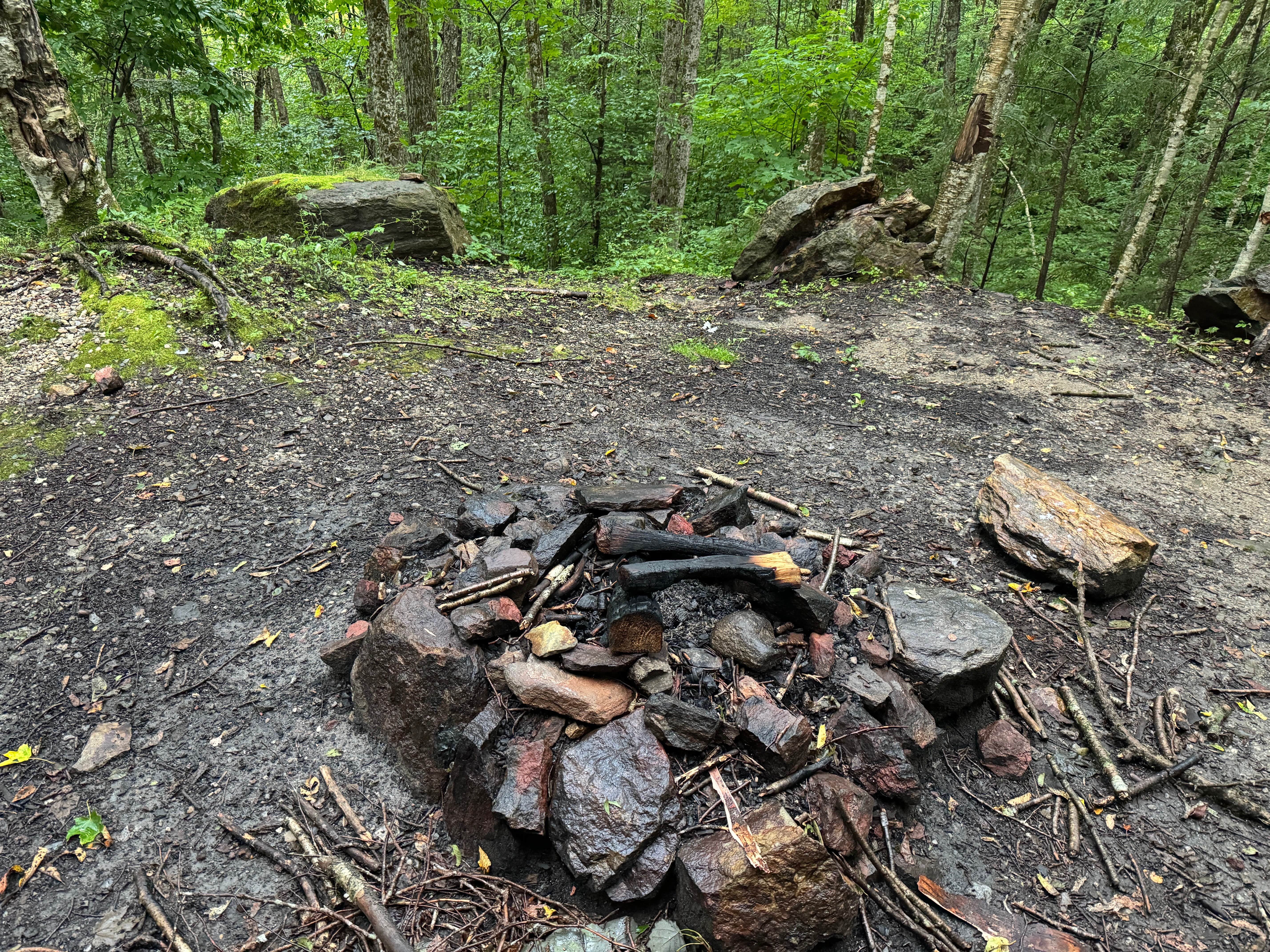 Camper-submitted photo at George D Aiken Wilderness Dispersed near Whately, MA