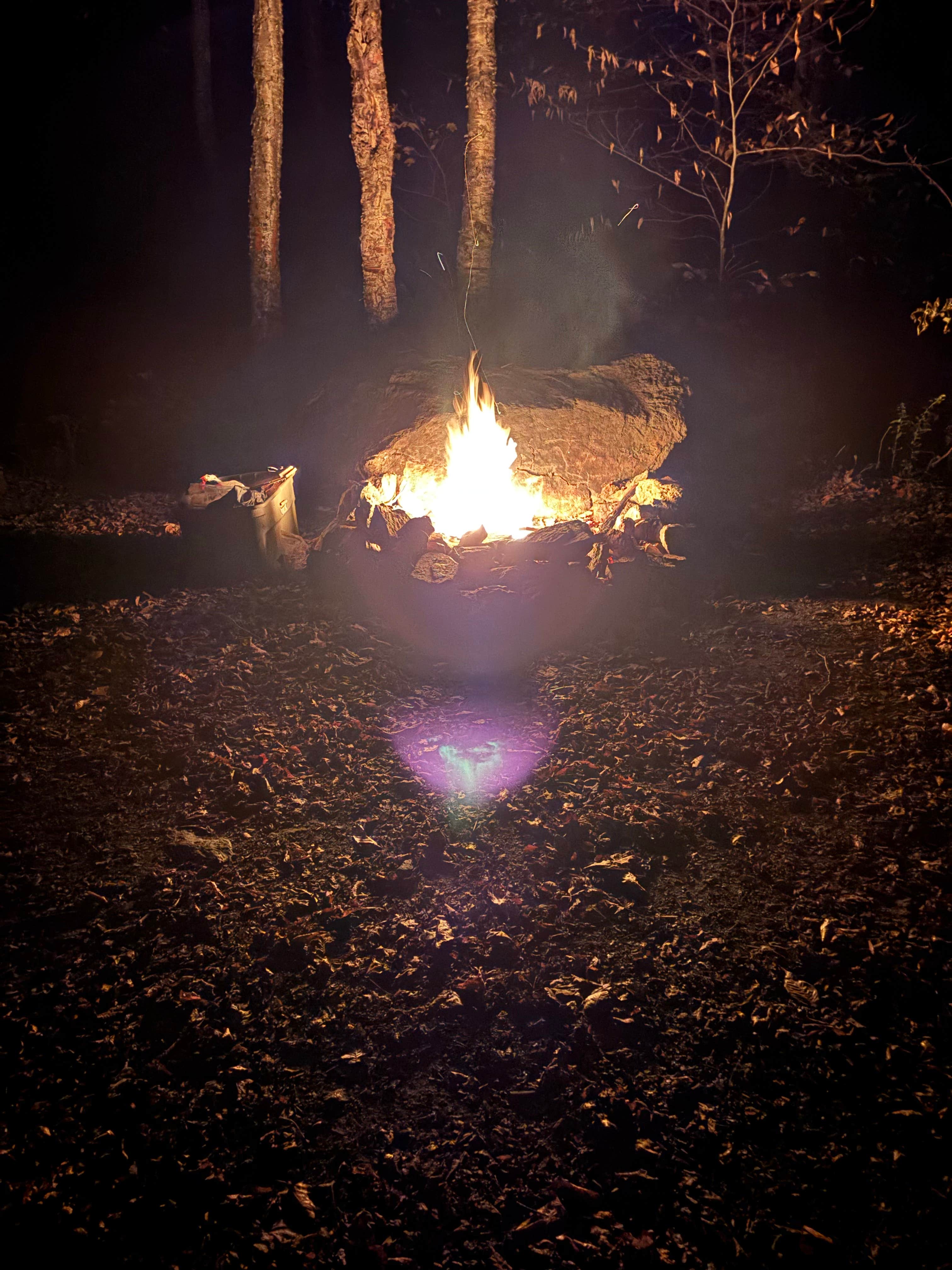 Camper-submitted photo at George D Aiken Wilderness Dispersed near Whately, MA