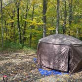 Review photo of George D Aiken Wilderness Dispersed by Senona C., October 2, 2026