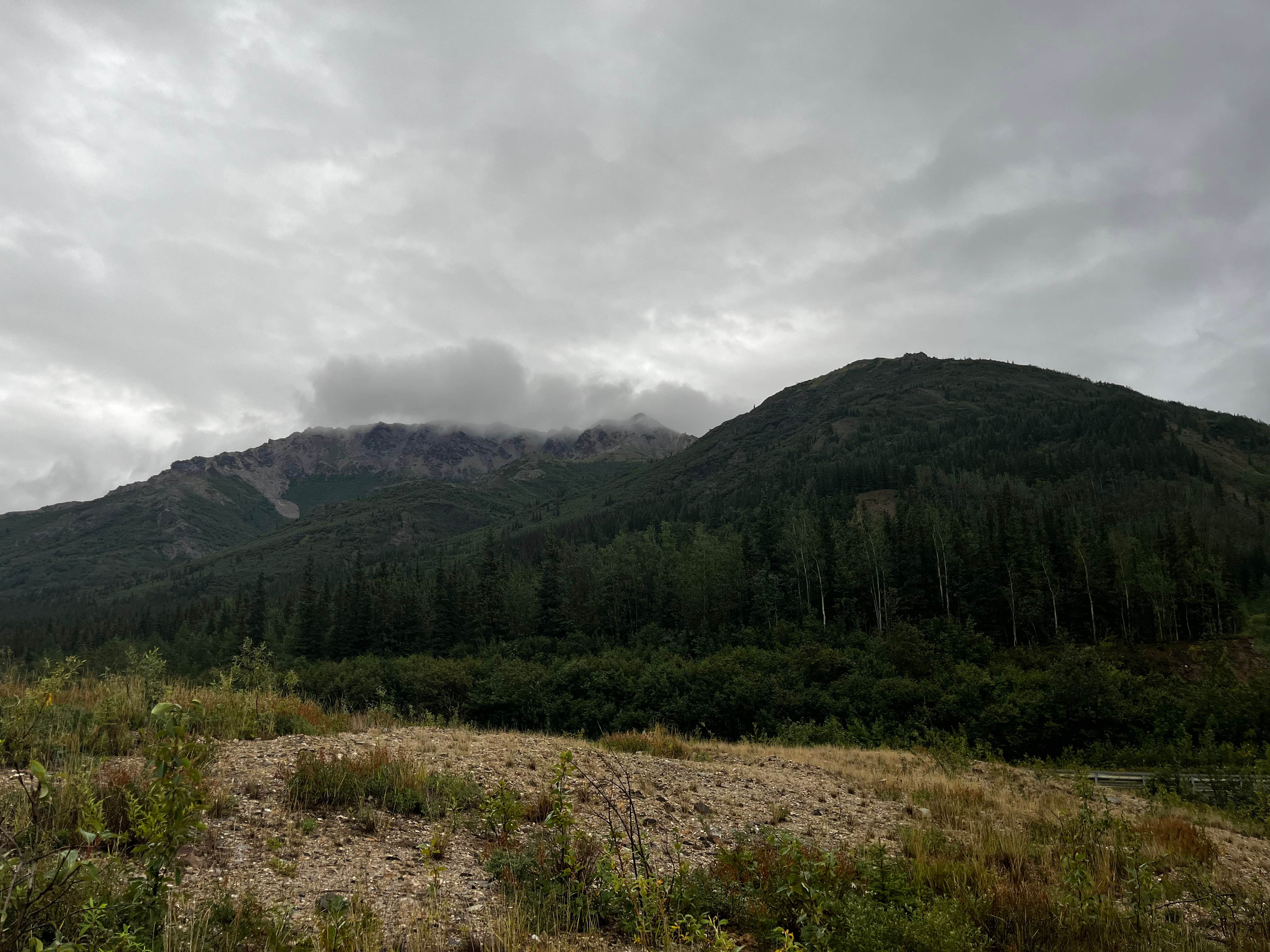 Camper-submitted photo at George Parks Hwy Pullover Dispersed near Denali National Park & Preserve