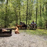 Review photo of George Washington State Campground by Sue B., May 15, 2026