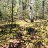 Review photo of George Washington State Campground by Sue B., May 15, 2026