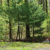 Review photo of George Washington State Campground by Sue B., May 15, 2026
