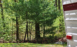 Sue B.'s photo of camping with pets at George Washington State Campground near Uxbridge, MA