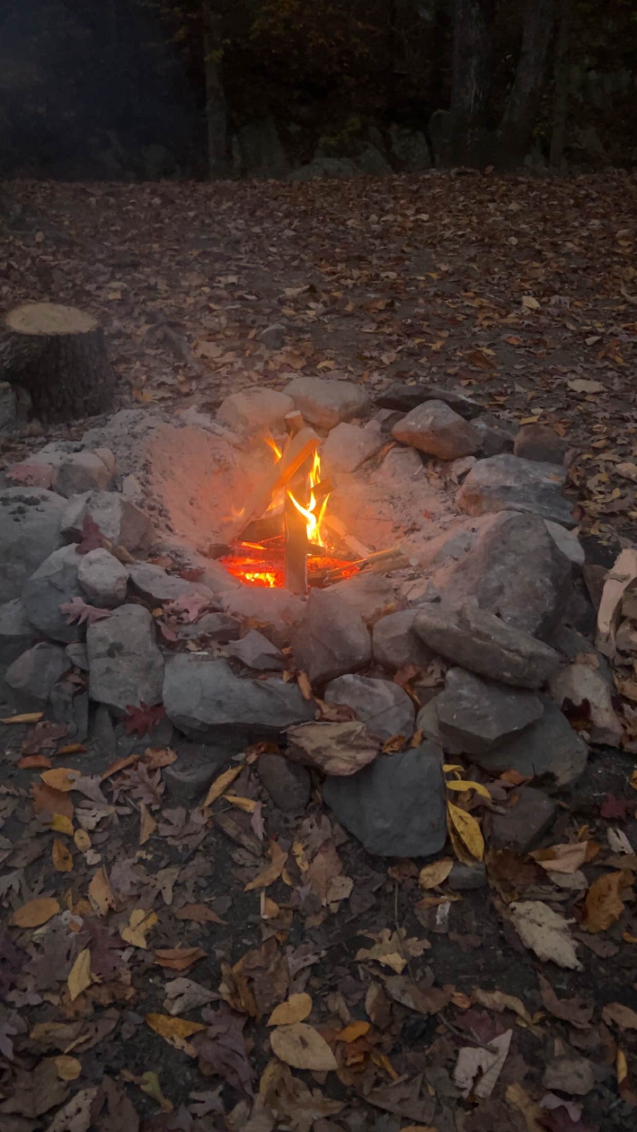 Camper submitted image from George Washington National Forest off 812 - 1