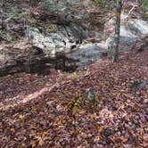 Review photo of George Washington National Forest off 812 by Kenlei B., October 29, 2024