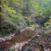 Review photo of George Washington National Forest off 812 by Michael C., March 10, 2025