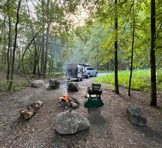 Camper-submitted photo from George Washington National Forest off 812