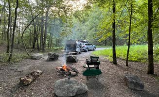Wild Berries B.'s photo at George Washington National Forest off 812 near Glasgow, VA