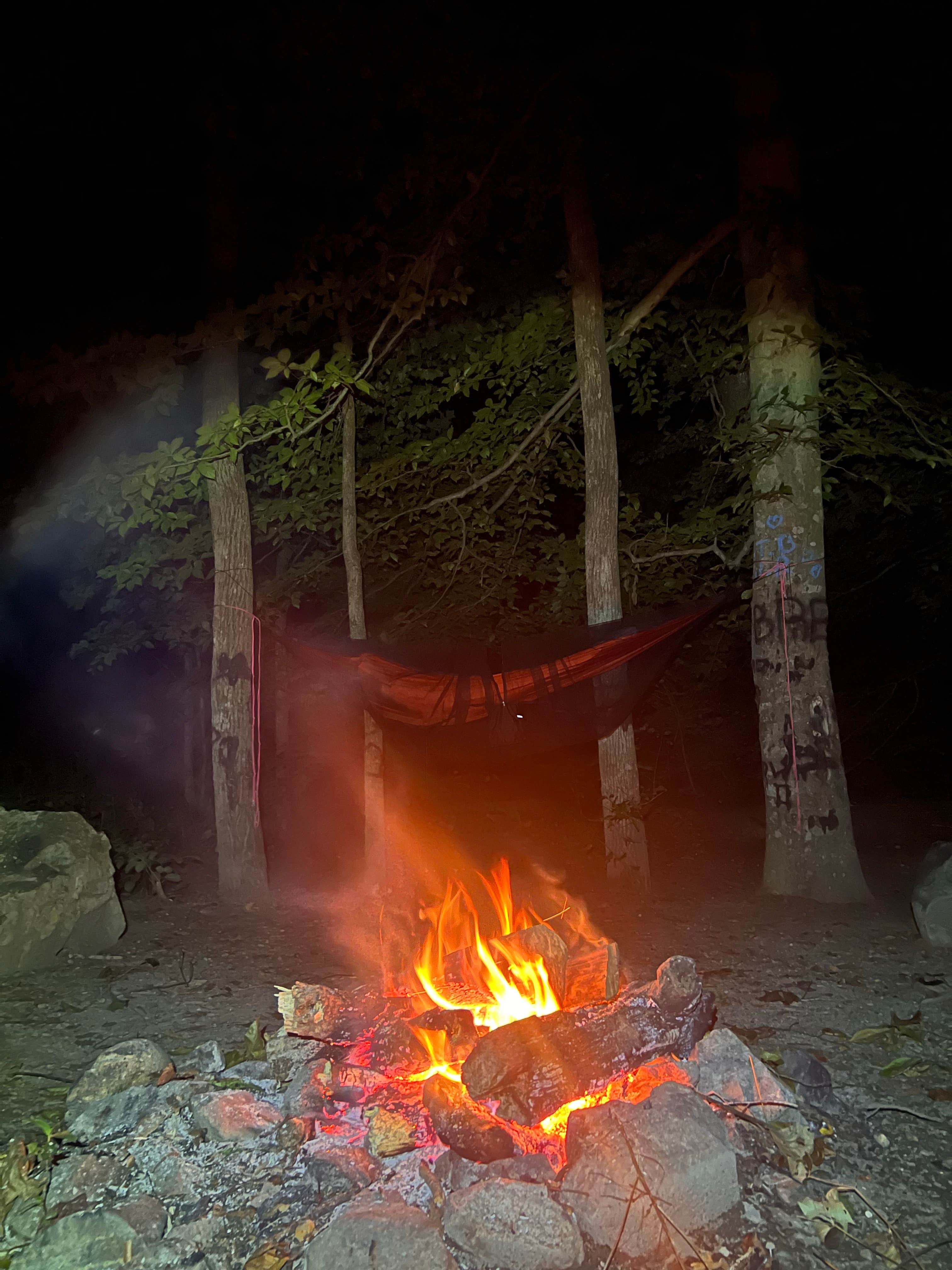 Camping near James River Wildlife Management Area: George Washington National Forest off 812, Glasgow, Virginia