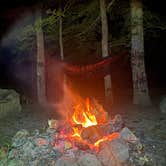 Review photo of George Washington National Forest off 812 by Michael C., March 10, 2025