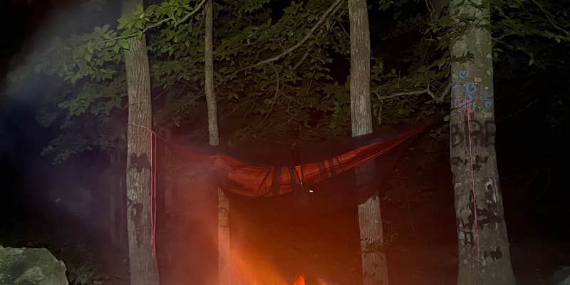 Camper submitted image from George Washington National Forest off 812