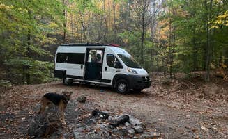 SJ W.'s photo of camping with pets at George Washington National Forest off 812 near Montebello, VA