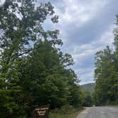 Review photo of George Washington National Forest off 812 by Michael C., March 10, 2025