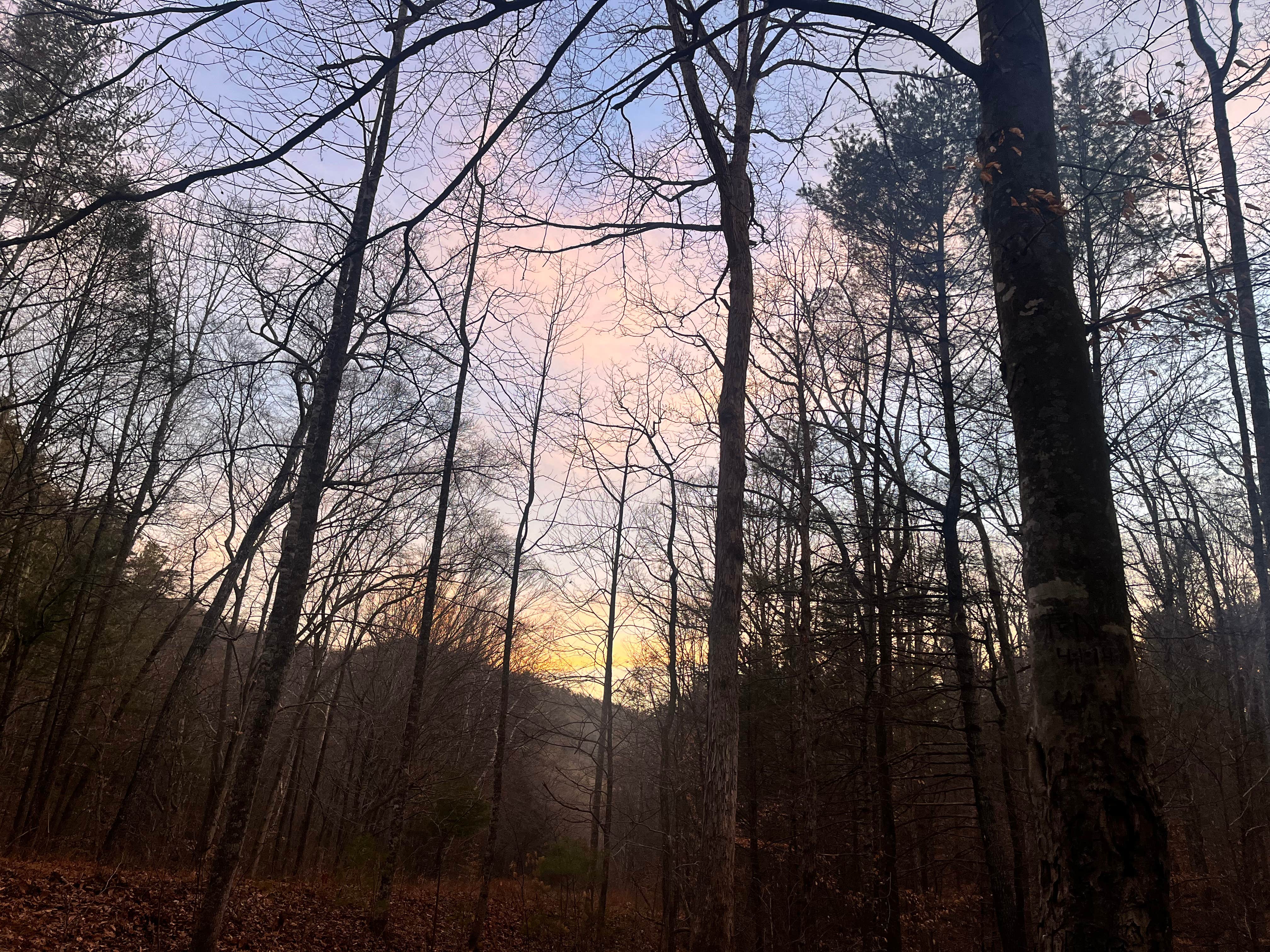 Sarah and James H.'s photo of a dispersed camping area at George Washington National Forest off 812 near Craigsville, VA