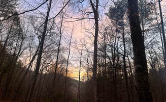 Sarah and James H.'s photo of a dispersed camping area at George Washington National Forest off 812 near Hot Springs, VA