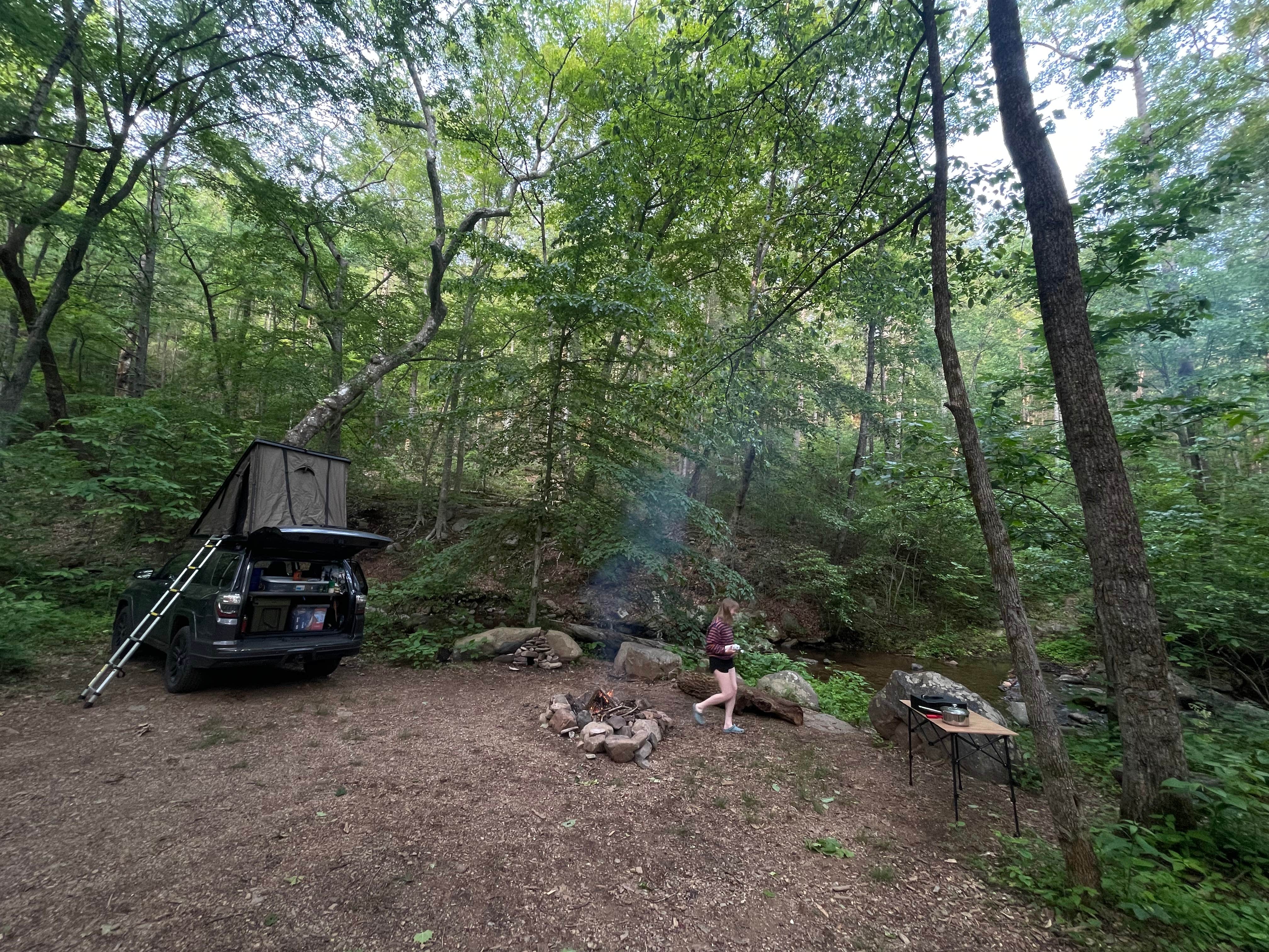 Sawyer B.'s photo of a dispersed camping area at George Washington National Forest off 812 near New Castle, VA