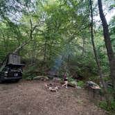 Review photo of George Washington National Forest off 812 by Sawyer B., June 10, 2025
