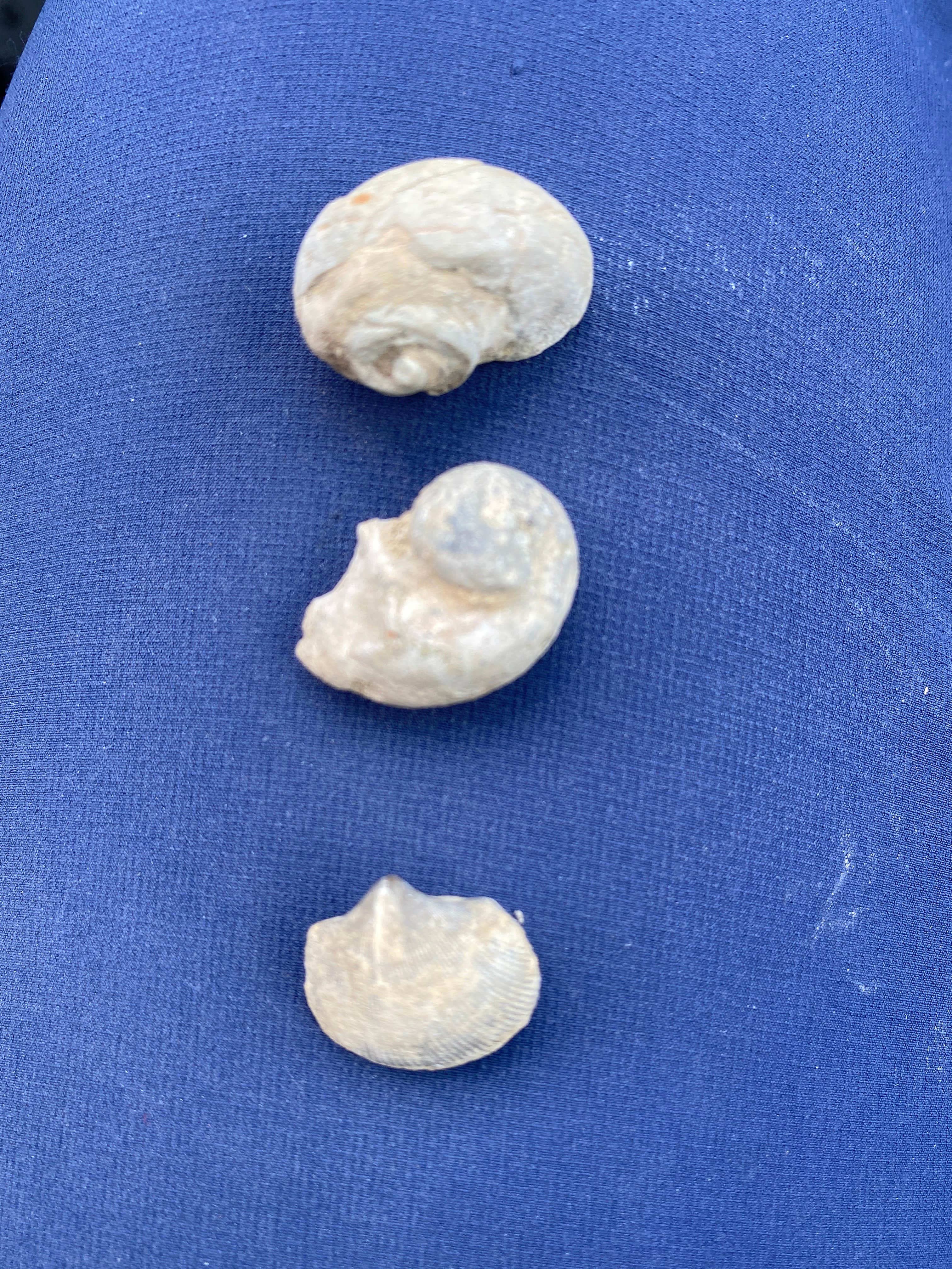 Camper-submitted photo at George Wyatt City Park near Floyd, IA