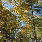 Review photo of Amicalola Falls State Park Camping by pamela P., October 24, 2025