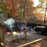 Review photo of Amicalola Falls State Park Camping by TIMOTHY O., September 20, 2024