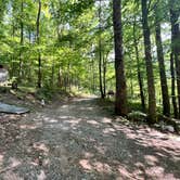 Review photo of Andrew's Cove Campground — Chattahoochee Oconee National Forest by Meaghan G., June 25, 2024