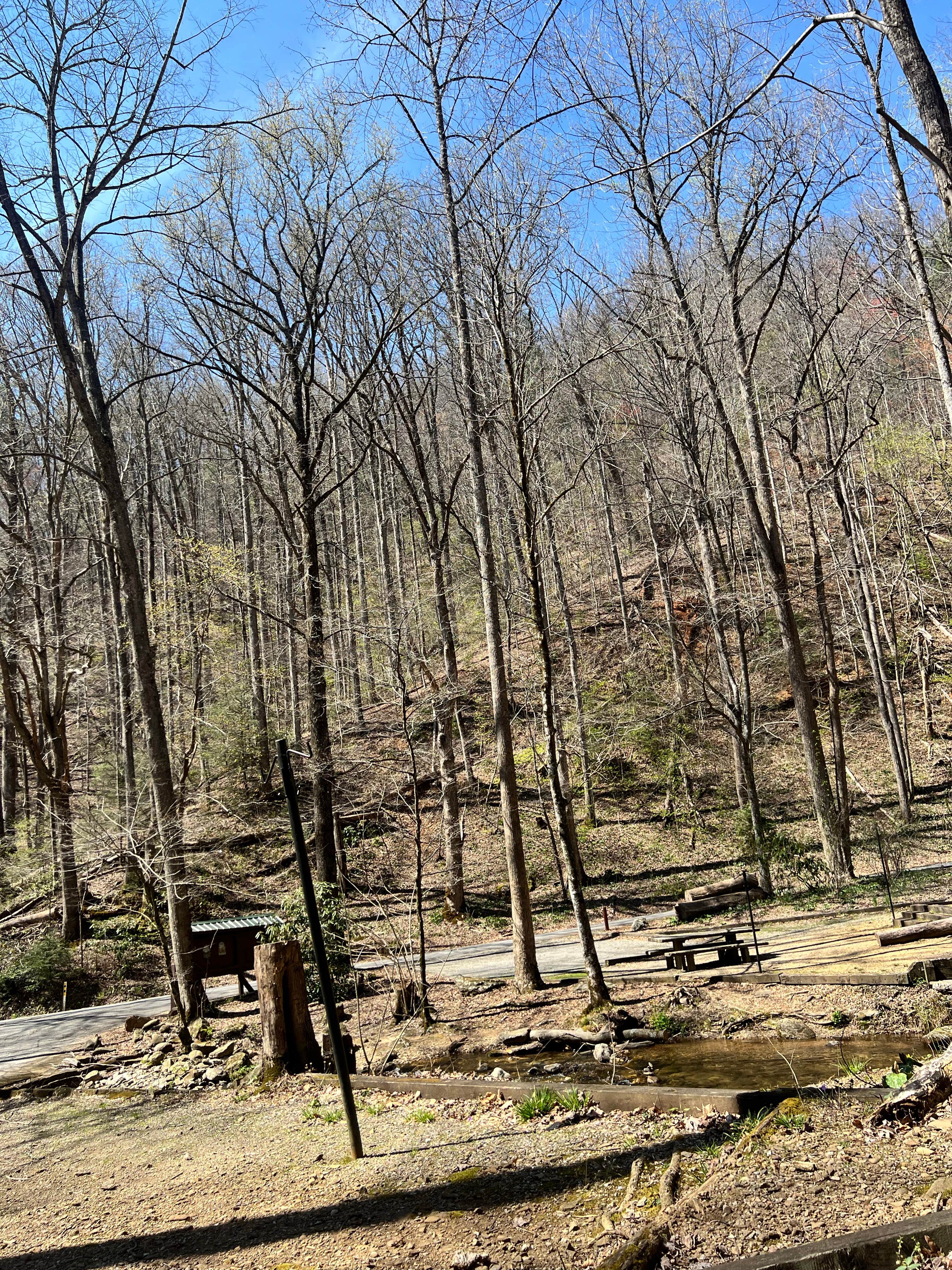 Camper-submitted photo at Andrew's Cove Campground — Chattahoochee Oconee National Forest near Helen, GA
