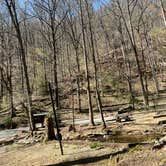 Review photo of Andrew's Cove Campground — Chattahoochee Oconee National Forest by Meaghan G., April 3, 2024