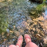 Review photo of Andrew's Cove Campground — Chattahoochee Oconee National Forest by Meaghan G., June 25, 2024