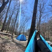 Review photo of Andrew's Cove Campground — Chattahoochee Oconee National Forest by Meaghan G., April 3, 2024