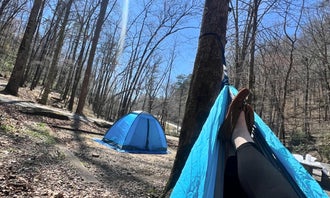 Camping near Upper Chattahoochee River: Andrews Cove, Helen, Georgia